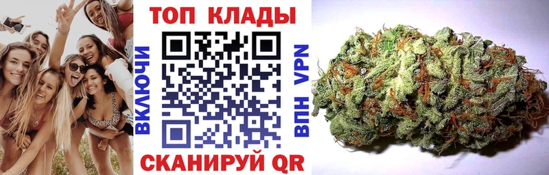 Сколько стоит Дмитров Alpha PVP  Меф мяу мяу  КОКАИН 