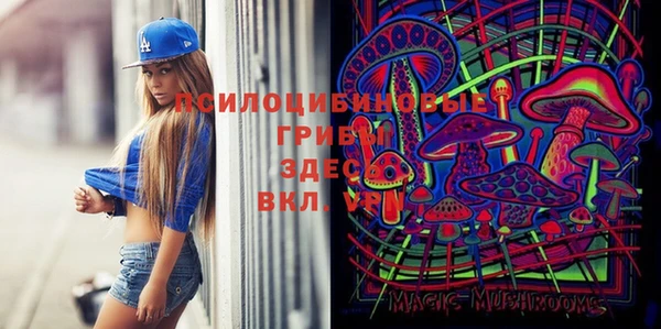 прущий лед Верея