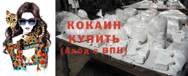 прущие грибы Вязники