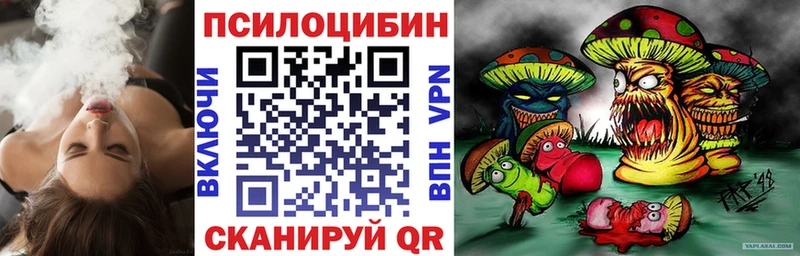 Псилоцибиновые грибы Psilocybe  omg tor  Дмитров  как найти наркотики 